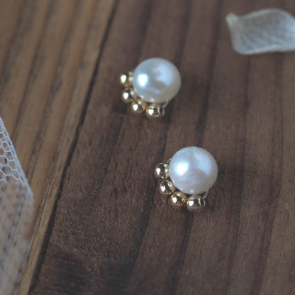 Freshwater pearl earrings/earrings | Quality AA+